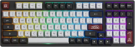 Akko 3098S 1800 Compact Hot Swappable Mechanical Keyboard, 98-Key Wired Gaming Keyboard with PBT Double-Shot Keycaps and Linear Switches for Mac & Win (CS Silver)