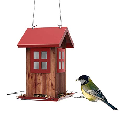 Kingsyard Bird Feeders for Outside Hanging Small Metal Bird House 0.8lb Bird Seed Capacity for Finch Cardinal NOT Squirrel Proof