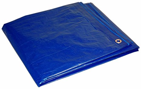 12' x 20' Dry Top Blue Full Size 7-mil Poly Tarp item #012200