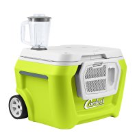 Coolest Cooler in Margarita Green