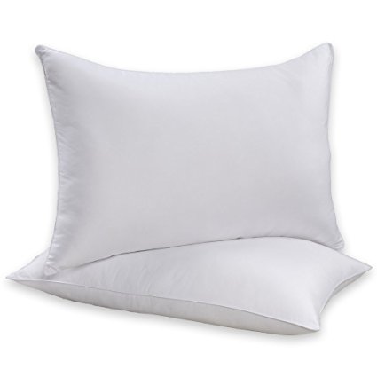 Beautyrest Sneeze Less Pillow, Two Pack, Standard Size