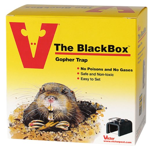 Victor The Black Box Gopher Trap 0625