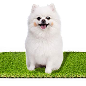 SMARTLAWN Professional Realistic Artificial Grass Rug, 17"X24" Carpets for Dogs Indoor and Outdoor Use, 1.25" Pile Height Soft and Lush Natural Looking Synthetic Mats