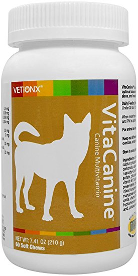 VETiONX VitaCanine Multivitamin Chew Treats for Dogs