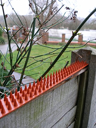 Cat Repeller Fence and Wall Spikes – Strip of 8 (13ft) Terracotta