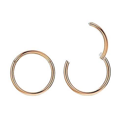 FANSING 316l Surgical Steel Hinged Nose Rings Hoop 20G 18G 16G 14G 12G 10G 8G 6G, Diameter 5mm to 22mm, Gold - Rose Gold - Silver - Black - Blue - Rainbow