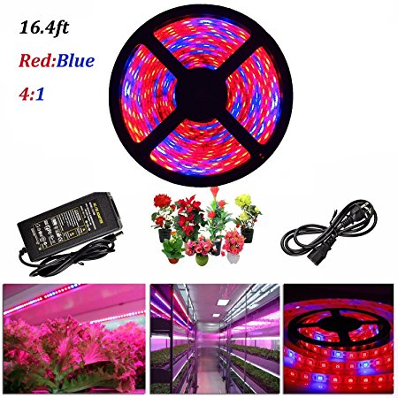 ABelle LED Strip Light Plant Grow Lights 16.4ft 5050 SMD Waterproof Full Spectrum Red Blue 4:1 Growing Lamp for Aquarium Greenhouse Hydroponic Plant Garden Flowers (5 M)