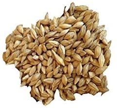 Barley - Sprouting Barley (2.5 lb)