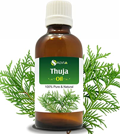 Thuja Oil (Thuja Orientali) Essential Oil 100% Pure & Natural - Undiluted Uncut Cold Pressed Aromatherapy Premium Oil - Therapeutic Grade - 15 ML