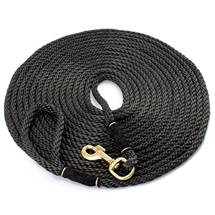 30’ Check Cord Dog Training Leash; 30-Foot Dog Check Cord / Lead for Obedience, Hunting Dog & Field Training