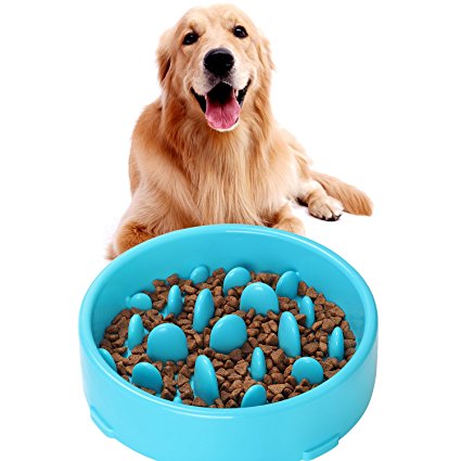 Slow Feeder Dog Bowl，JASGOOD New Arriving Fun Feeder Slow Feeding Interactive Bloat Stop Dog Bowls