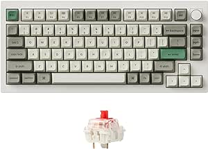 Keychron Q1 Max RGB QMK/VIA Custom Mechanical Keyboard, Full Metal Programmable Knob 2.4 GHz/Bluetooth/Wired Keyboard with Hot-Swappable Gateron Jupiter Red Switch for Mac Windows Linux - White