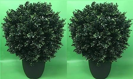 Two 24 Inch x 16 Inch Indoor Outdoor Artificial Boxwood Ball Topiary Bush 2 Foot Potted UV Rated