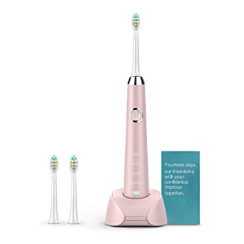 Sonic Electric Toothbrush, USB Rechargeable Toothbrush, Adult Electric Toothbrush With Holder and 2 Replacement Heads, (4 Modes with Automatic Timer, IPX7 Waterproof, Fast Charging), Pink