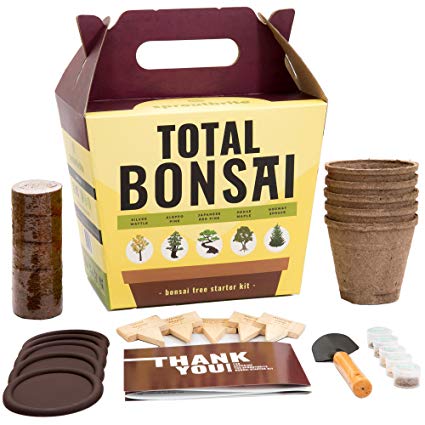 Sproutbrite Bonsai Tree Starter Kit - Grow 5 Trees from Seed - A Complete Gardening Gift kit for Growing Bonsai Trees Indoors