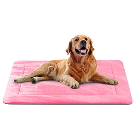 JoicyCo Dog Bed Mat Large Soft Crate Pad 28/35/42 In- 100% Machine Washable Anti-Slip Fleece Mattress Luxury Rich Color