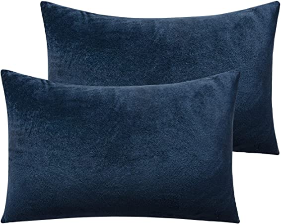 NTBAY Zippered Velvet Queen Pillowcases, 2 Pack Super Soft and Cozy Luxury Solid Color Pillow Cases, 20 x 30 Inches, Navy Blue