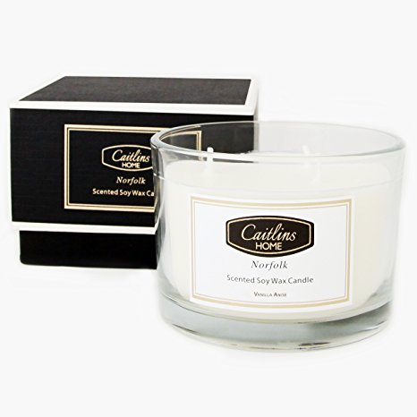 Scented Vanilla Anise Soy Wax Aromatherapy Candle Home Fragrance Gift 3 Wick Caitlins Home