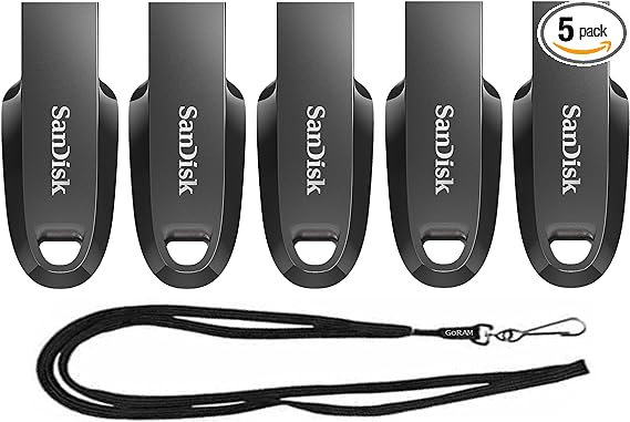 SanDisk 64GB Ultra Curve USB 3.2 Flash Drive SDCZ550-064G (5 Pack) Bundle with (1) GoRAM Black Lanyard (64GB)