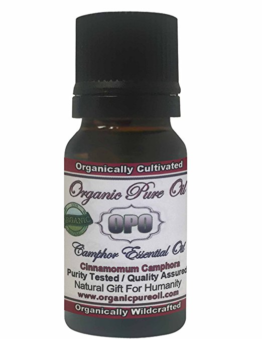 CAMPHOR ESSENTIAL OIL 10 ML 100% Pure Natural Organic Undiluted Steam Distilled Medi Top Grade A for Sore Joint and Muscle Massage Skin and Hair by Organic Pure Oil