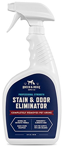 Professional Strength Stain & Odor Eliminator - Enzyme-Powered Pet Odor & Stain Remover for Dogs and Cat Urine - Spot Carpet Cleaner - Small Animal Odor Remover (32 oz)