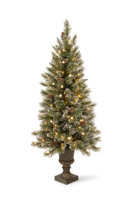 National Tree 5 Foot Glittery Bristle Pine Entrance Tree with 150 Soft White LED Lights (GB3-326-50)