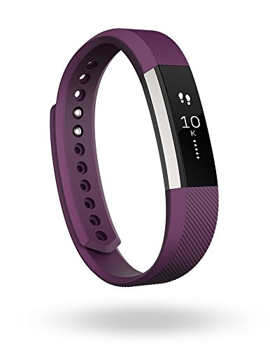 Fitbit Alta Fitness Tracker SilverPlum Small