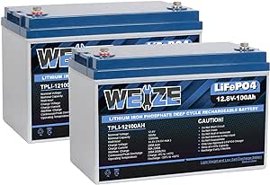 WEIZE 12V 100Ah LiFePO4 Battery Group 31 Lithium Battery, Built-in 100A BMS, Low Temperature Protection Deep Cycle Battery for Trolling Motor, RV, Solar, Marine, Camping, Home Energy Storage (2 Packs)