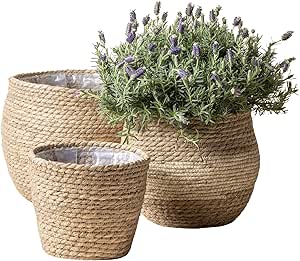 LA JOLIE MUSE Seagrass Large Planter Blasket Indoor, Plant Pots Cover, Indoor Planters Flower Pots, 13.5/12/9 inch Pack 3