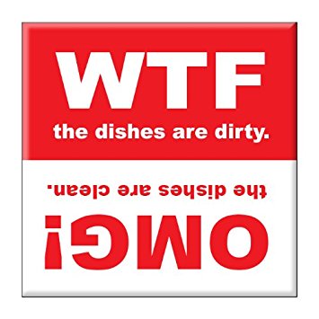 Clean Dishwasher Magnet 2.5" x 2.5" inches WTF and OMG