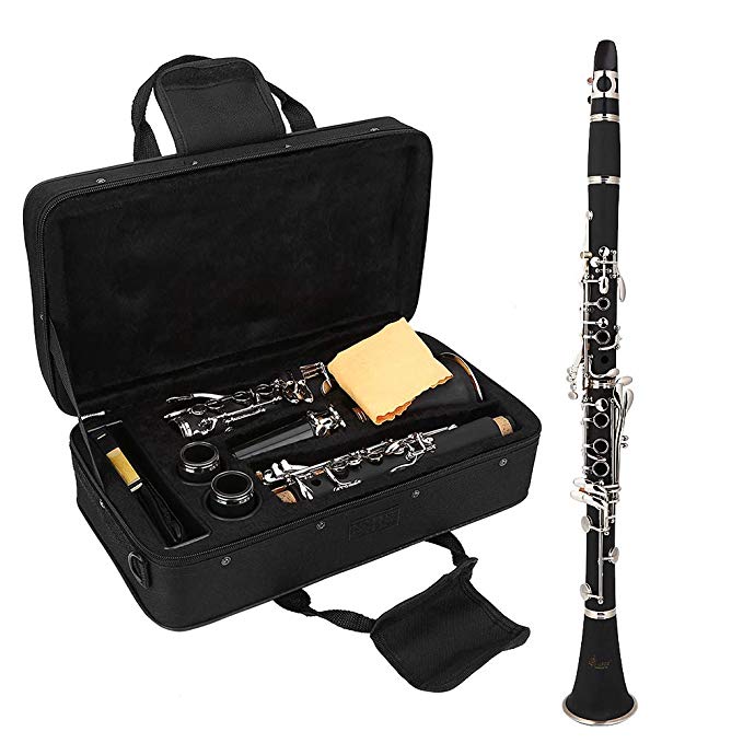 Dilwe Bb Clarinet, 17 Key Descending B Tone Bakelite Clarinet with Reeds Cleaning Cloth Bag Woodwind Instruments