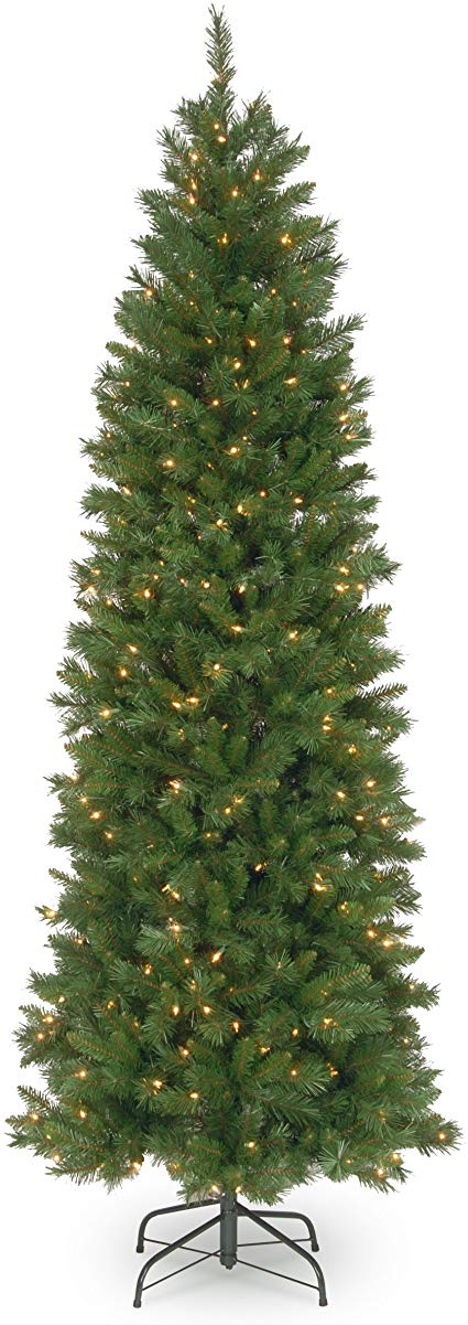 National Tree 7.5 Foot Pennington Fir Pencil Tree with 350 Clear Lights, Hinged (PNG7-300-75)