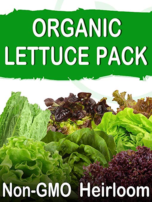 SavvyGrow Organic Heirloom Lettuce Seeds (10 Varieties) – Survival Garden Seeds for Planting - Open Pollinated, 85% Plus Germination Rate, Non-GMO & Source in USA Vegetable Seed (Organic)