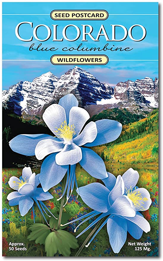 Colorado Columbine Wildflower Seed Packet - Enjoy The Natural Beauty of Colorado Flowers in Your Own Home Garden - State Flower