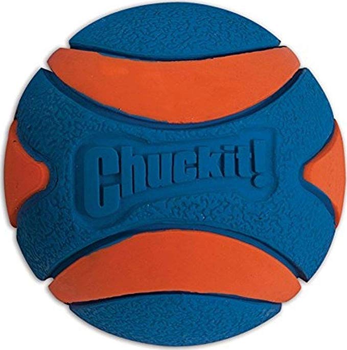 CHUCKIT! ULTRA SQUEAKER BALL