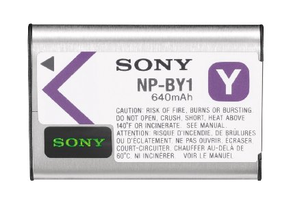 Sony Rechargeable Battery Pack (Silver)