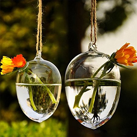 Soledi Hanging Round Egg Glass Clear Flower Vase Hydroponic Container Home Decor