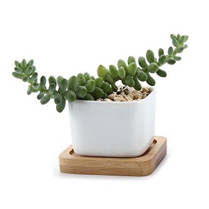 T4U 2 Inch Ceramic White Mini Square Sucuulent Plant Pot/Cactus Plant Pot With Bamboo Tray