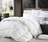 1200 Thread Count FULL  QUEEN Size Siberian Goose Down Comforter 100 Egyptian Cotton 750FP 50oz and 1200TC - White Stripe