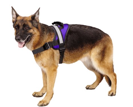 Big Dog Soft Reflective No Pull Harness