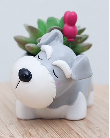 Cuteforyou Cute Animal Shaped Cartoon Home Decoration Succulent Vase Flower Pots (Schnauzer)
