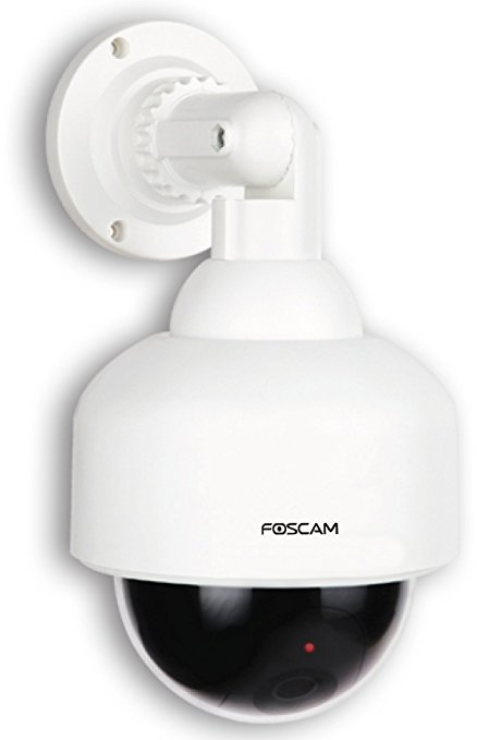 Foscam FD3100 Outdoor Dummy Dome Camera - With Red Blinking Light