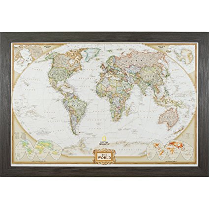 Craig Frames Wayfarer, Executive World Push Pin Travel Map, Faux Gray Barnwood Frame and Pins, 24 by 36-Inch