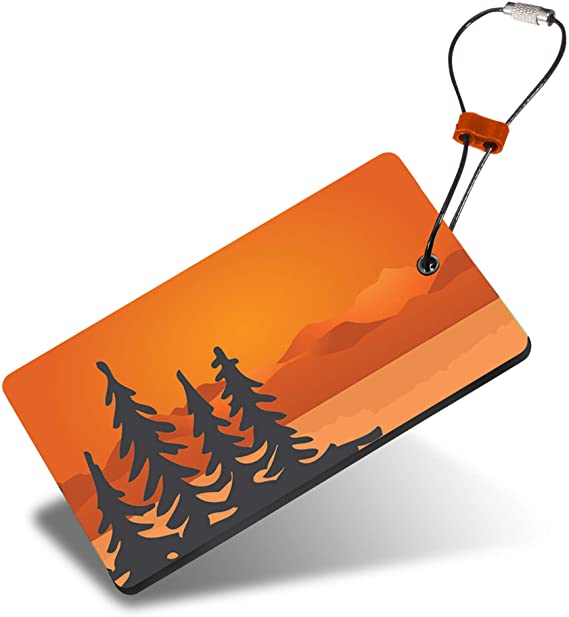 Lewis N. Clark Travel Luggage Tag and Suitcase Identifiers for Women and Men, Carry on, Backpack and More