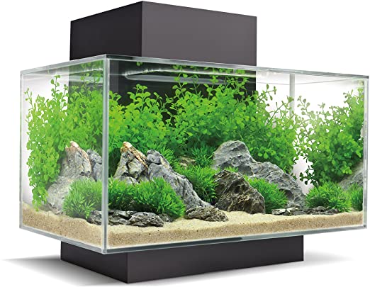 Fluval Edge 23 Litre Desktop Aquarium (Black)