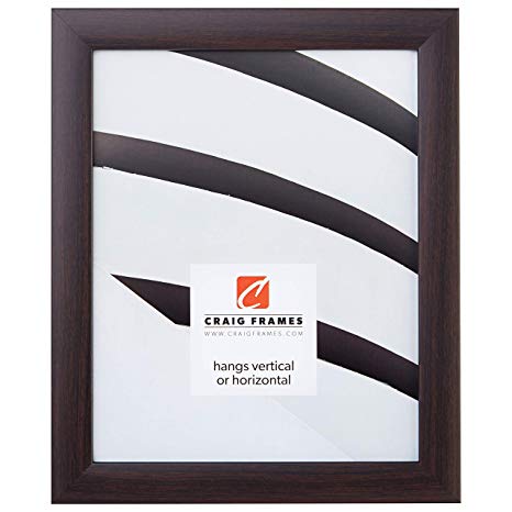 Craig Frames 23247778 14 x 24 Inch Picture Frame, Smooth Finish, 1-Inch Wide, Brazilian Walnut Brown