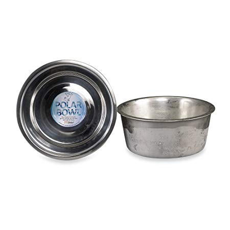 Polar Bowl by Neater Pet Brands