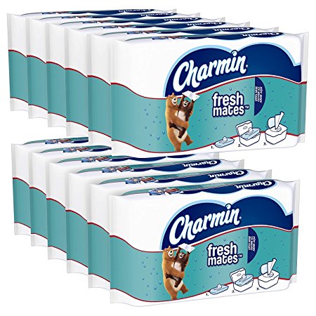 Charmin Freshmates Flushable Wet Wipes, 40 Count (Pack of 12)