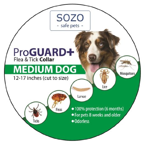 Proguard flea shop and tick collar