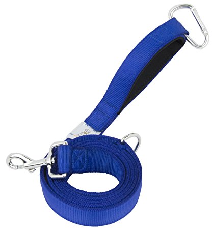 Your Perfect Leash - 2-Layer Nylon Pet Lead - 5 Colors Available - Carabiner Clip Sewn into the Padded Handle - D-ring - 20% Wider For Extra Durability